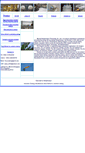 Mobile Screenshot of energysaving-coatings.com